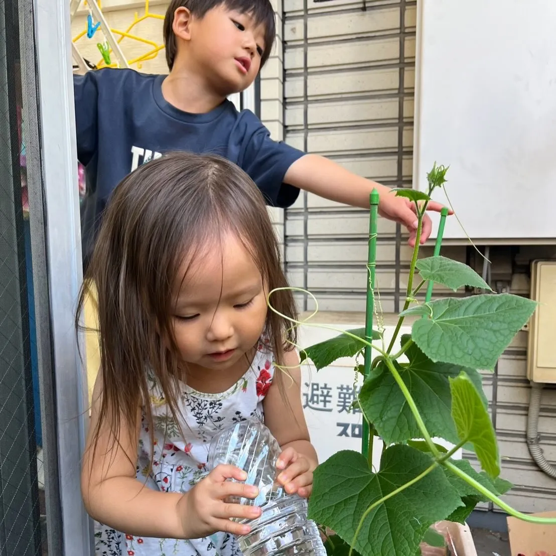 Summer program 