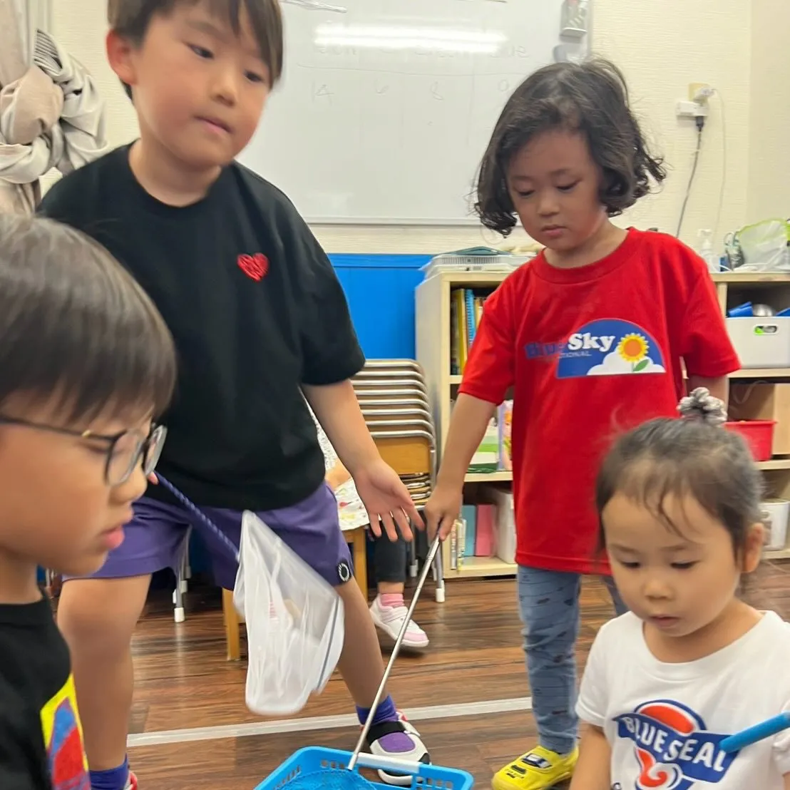 Summer program 