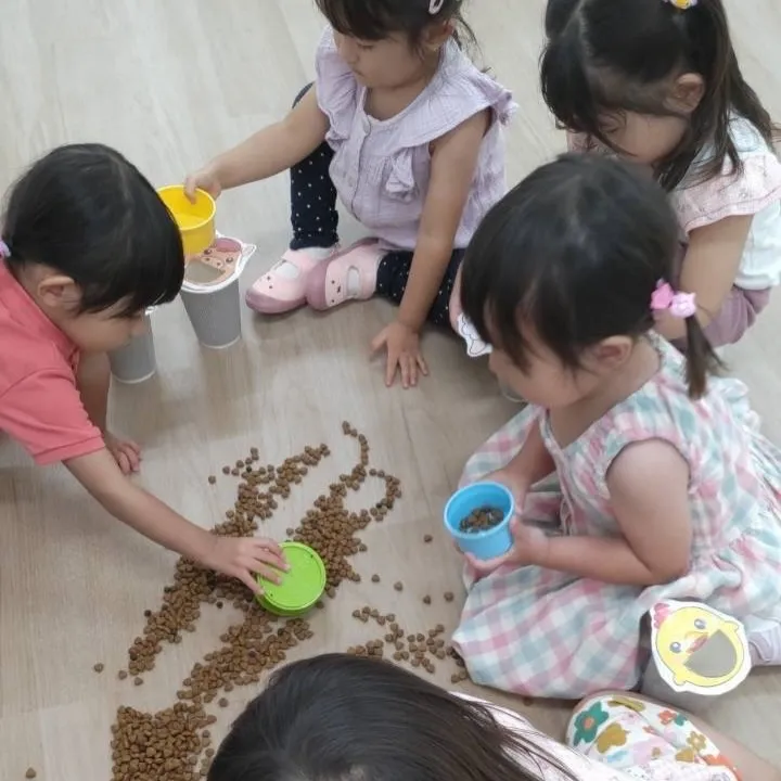 Toddler class Monday 
