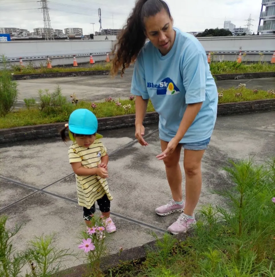 Toddler class