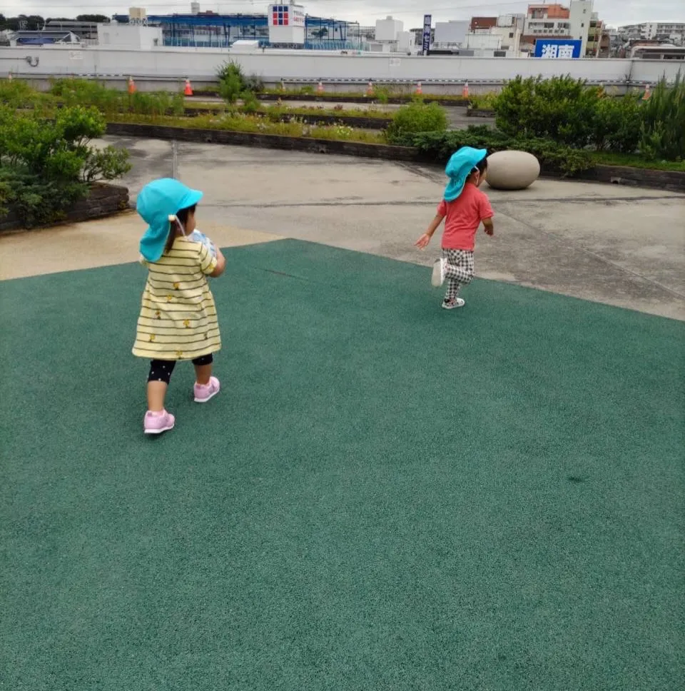 Toddler class