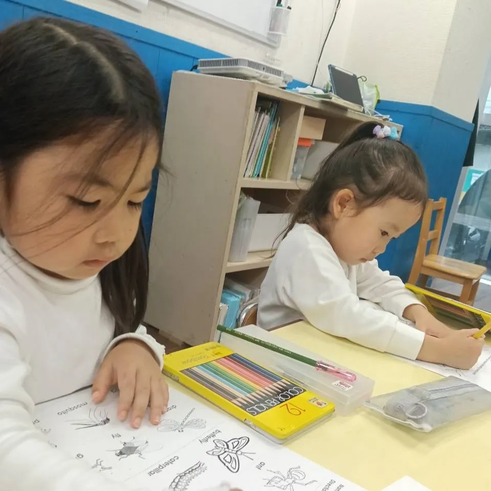 Kinder Tuesday 