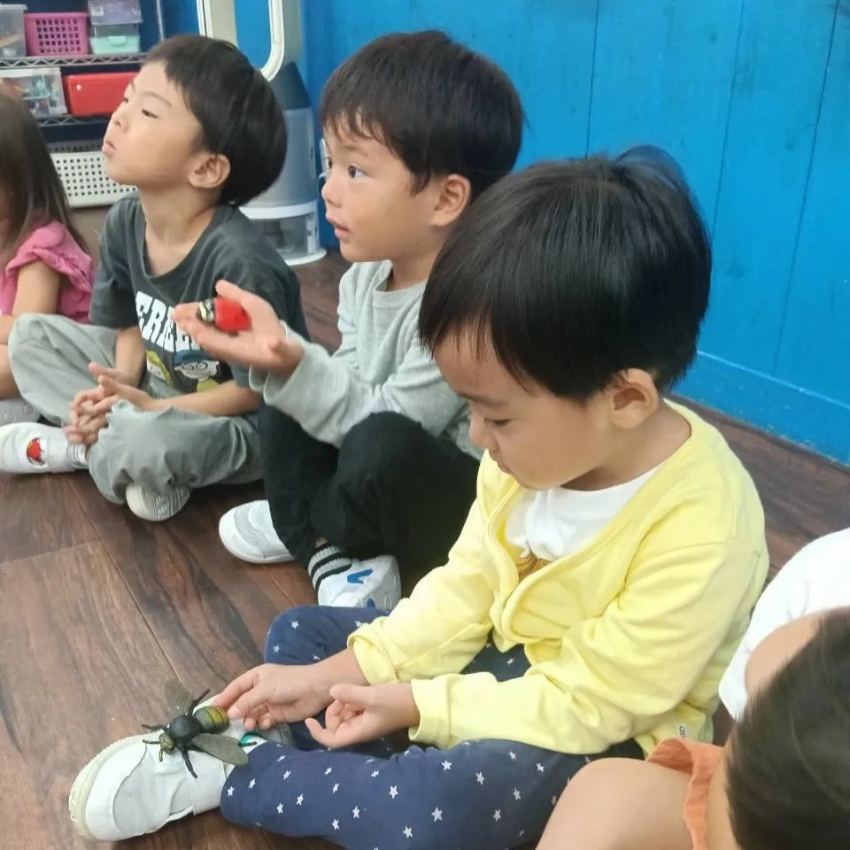 Kinder Tuesday 
