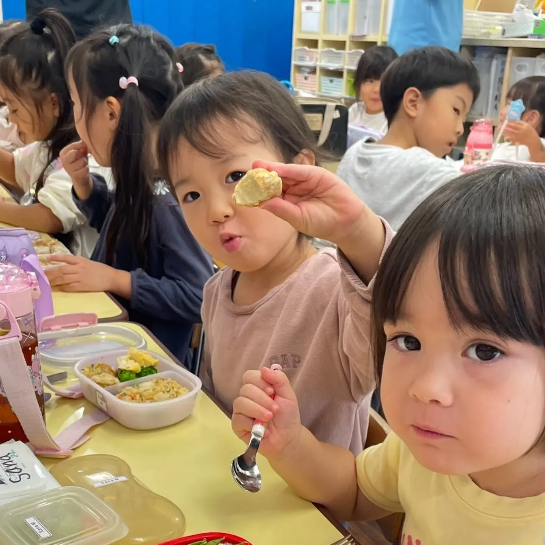 Kinder Wednesday 