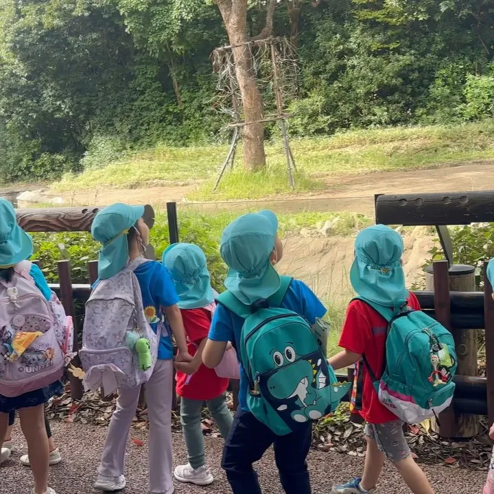 More pictures from our Kinder ...